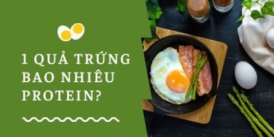 1-qua-trung-bao-nhieu-protein-an-trung-co-giam-can-khong