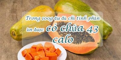 du-du-bao-nhieu-calo-an-du-du-co-beo-khong