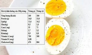 Chất dinh dưỡng có trong trứng