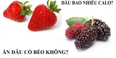 dau-bao-nhieu-calo-an-dau-co-beo-khong